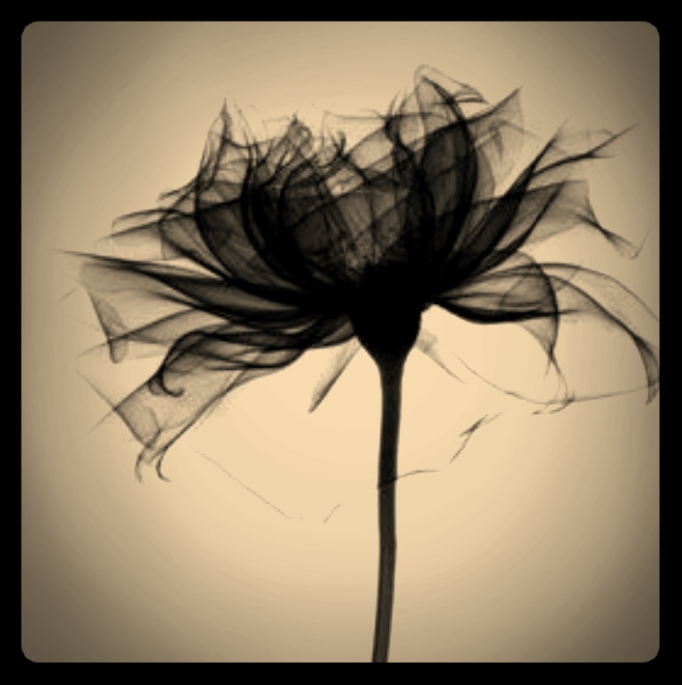 Vintage tshirts and more